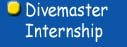 Divemaster Internship