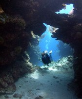 Doc's Dive, near CoCo View